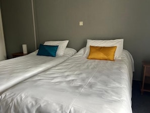 Twin Room, City View | Iron/ironing board, free WiFi - Hôtel de Flandre (Compiègne)