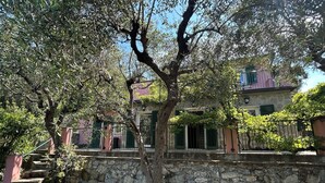 Un mur de pierre avec un escalier menant à un bâtiment aux volets verts.