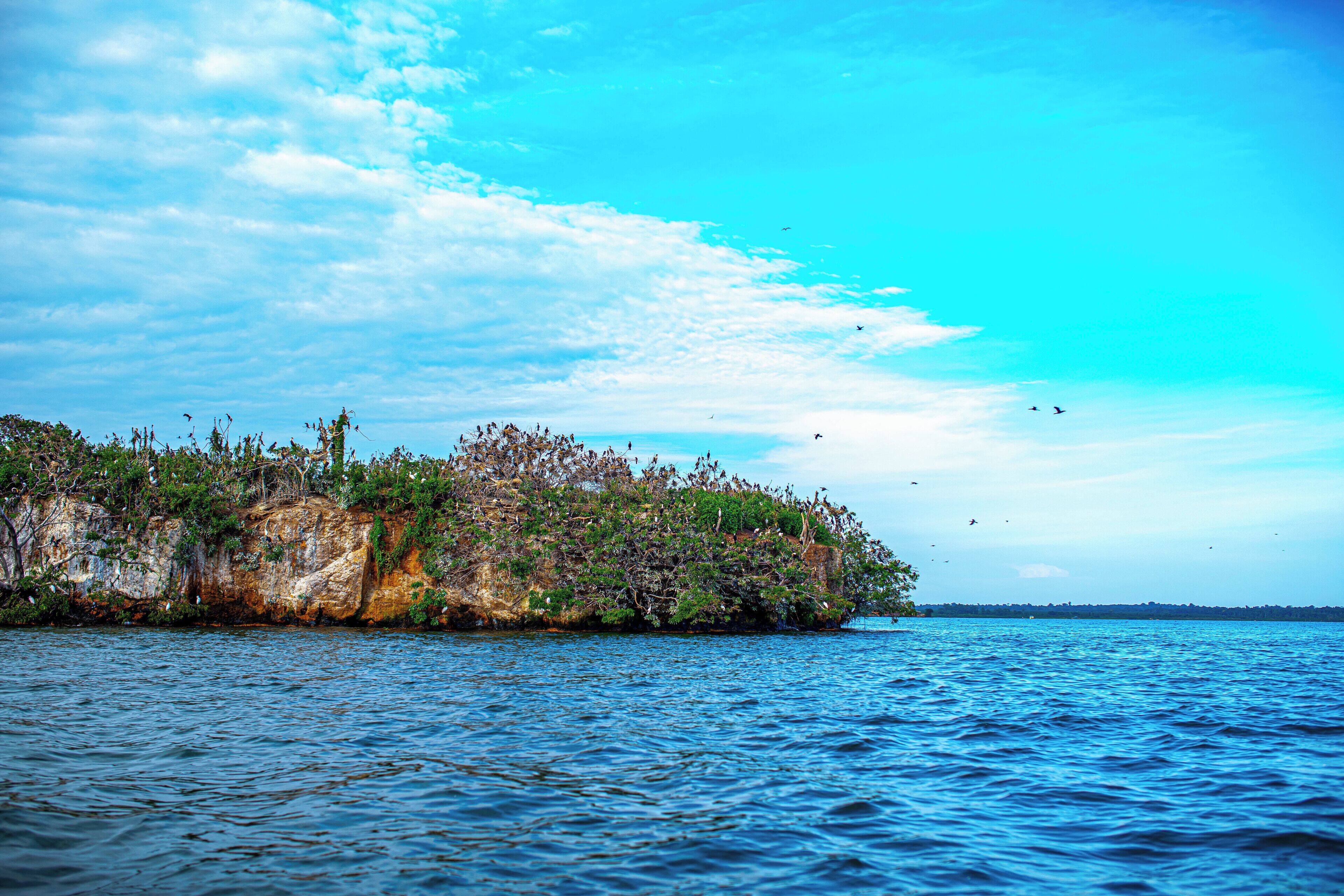A coastal landscape with a rocky outcrop covered in vegetation and a calm sea.