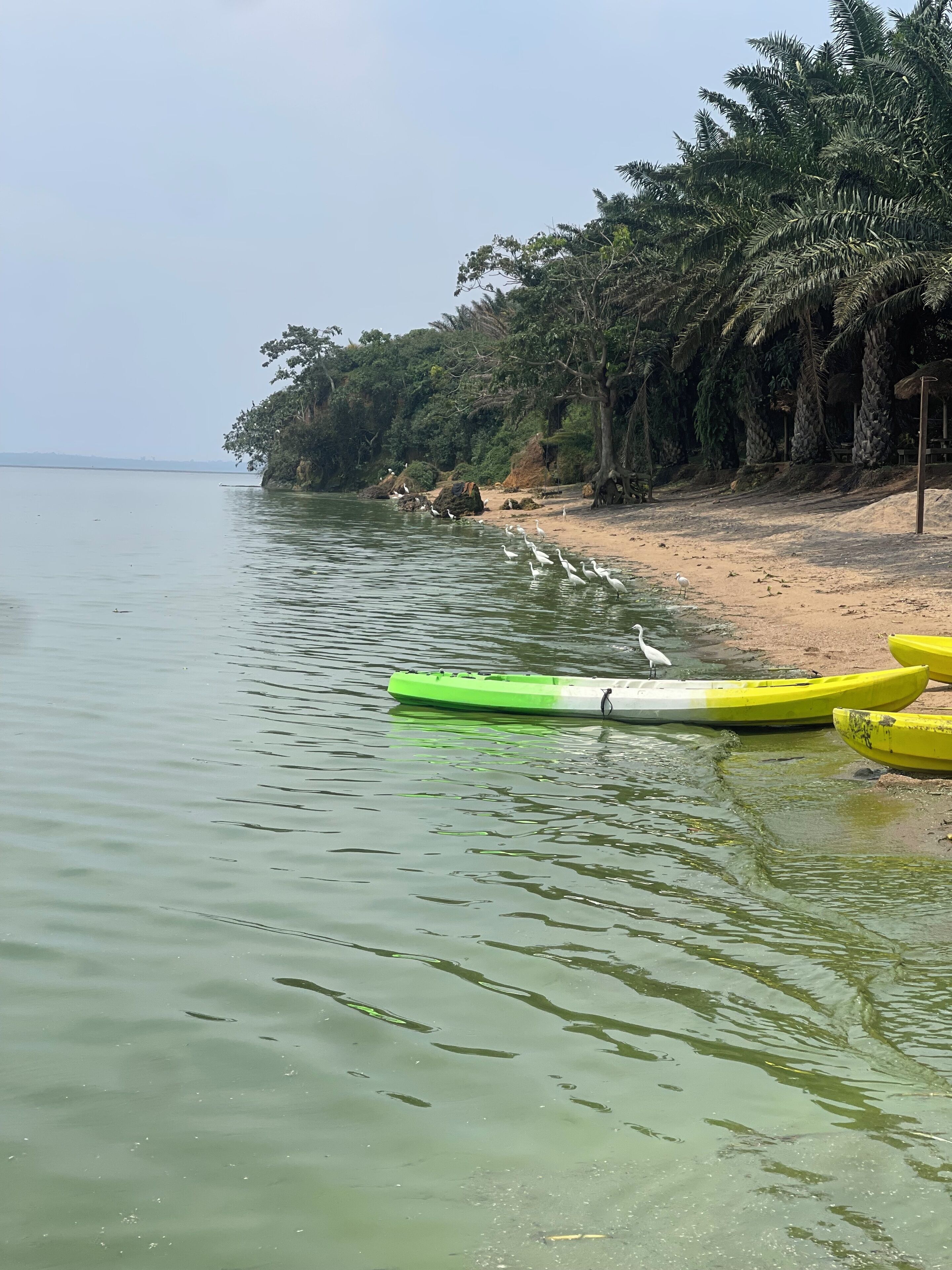 Kayak