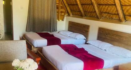 Bugoma Palms Resort Beach and Hotel