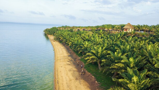 A beach with a clear view of the ocean, a sandy path, and dense palm trees. - Bugoma Palms Resort Beach and Hotel (Bugala Island)