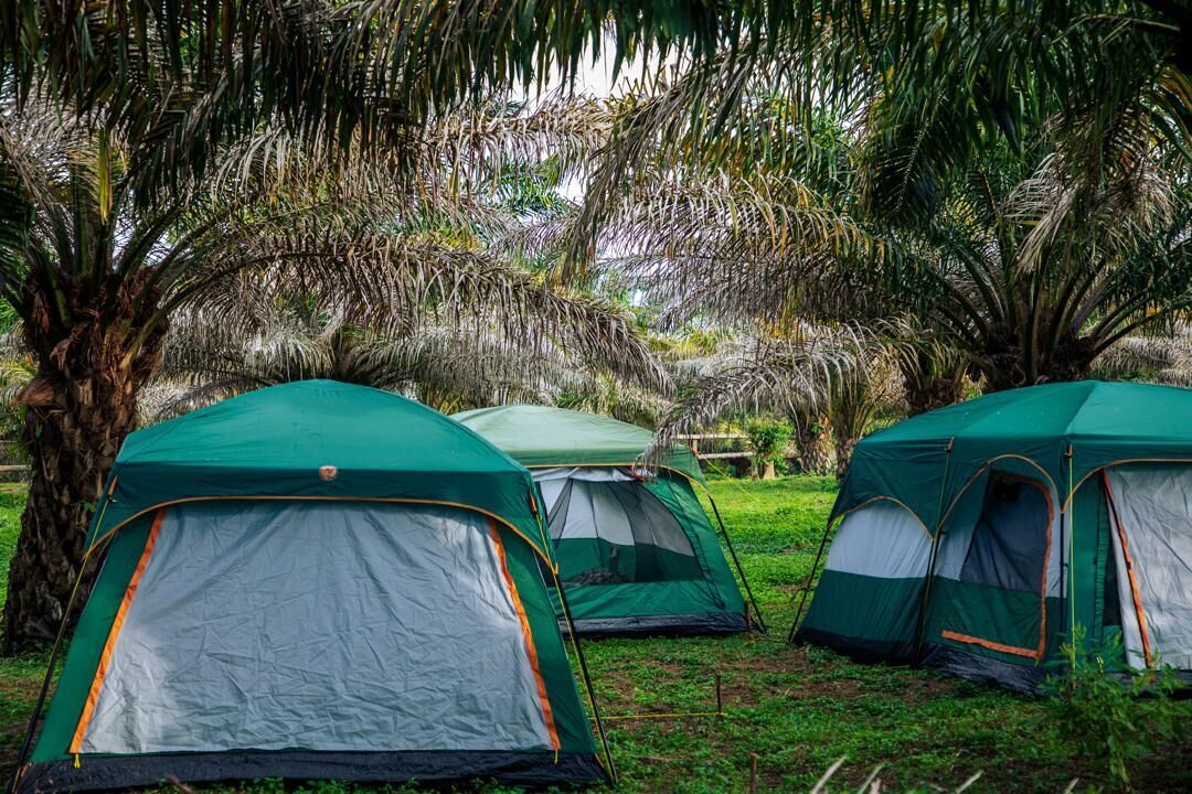 Classic Tent, Lake View