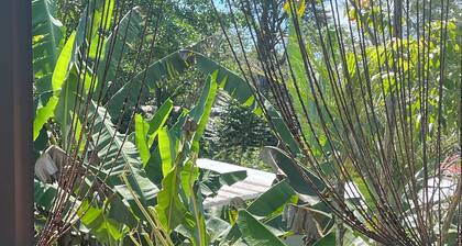 *Peninsula de Osa*NEW serene retreat*La Brisa*Costa Rica