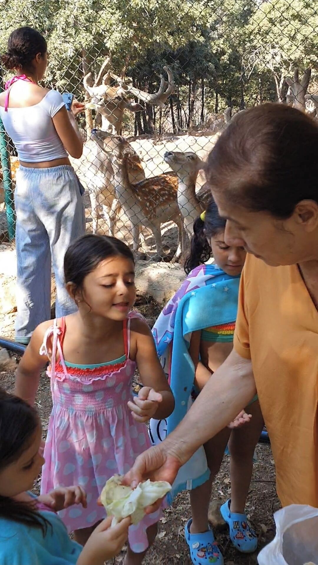 A group of people, including children, interacting with a giraffe at a zoo.