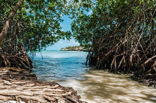 3BR Peaceful Aruba Stay • Near Mangel Halto Beach