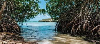 Peaceful 3BR Caribbean Home with private back yard and patio in Savaneta