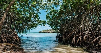 3BR Peaceful Aruba Stay • Near Mangel Halto Beach