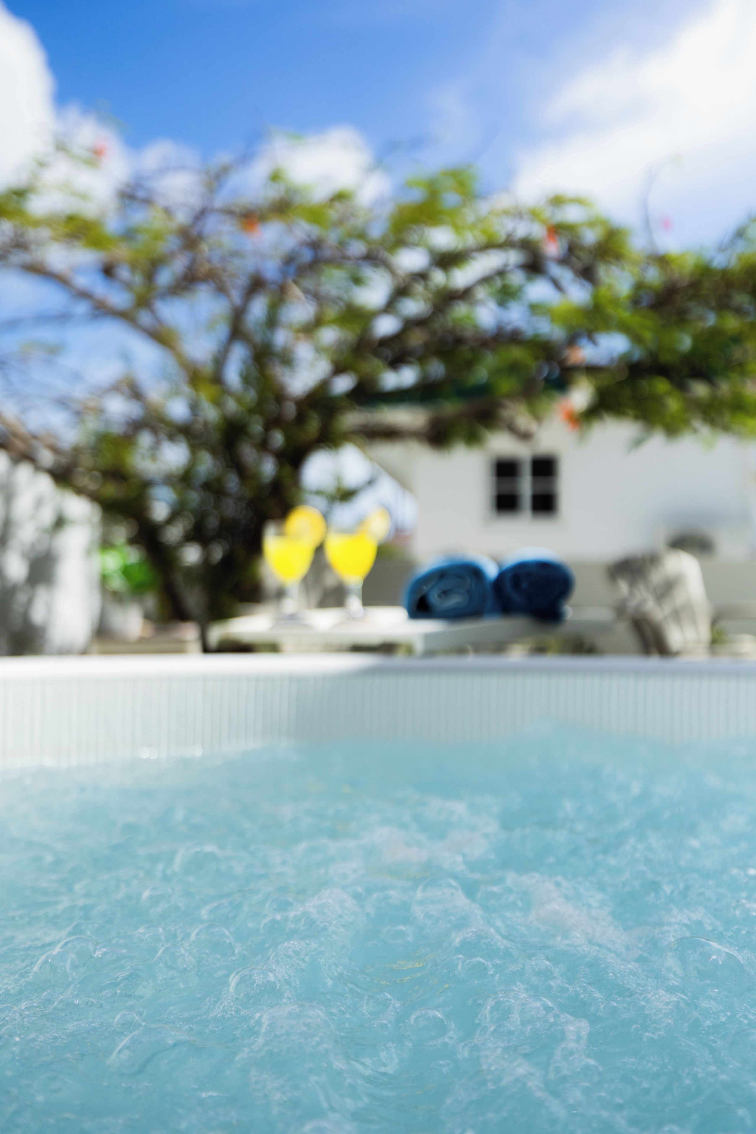 A swimming pool with a blurred background of a house and trees.