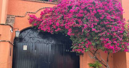 Casita Escondida - charming studio casita for 1 in central Ajijic