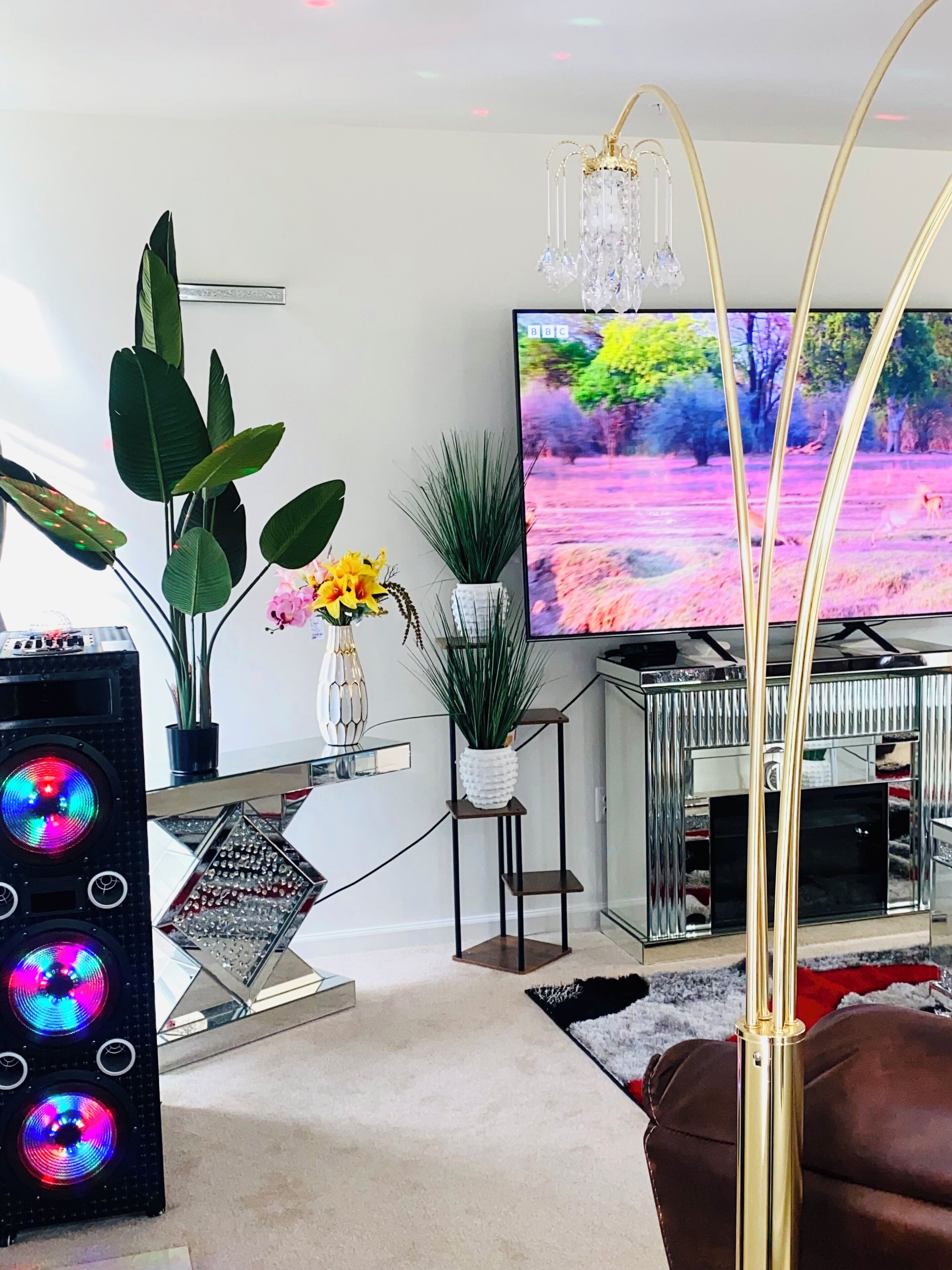 A living room with a flat-screen TV, a large speaker, and decorative plants.