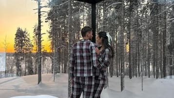 A bedroom with a large window overlooking a snowy forest.