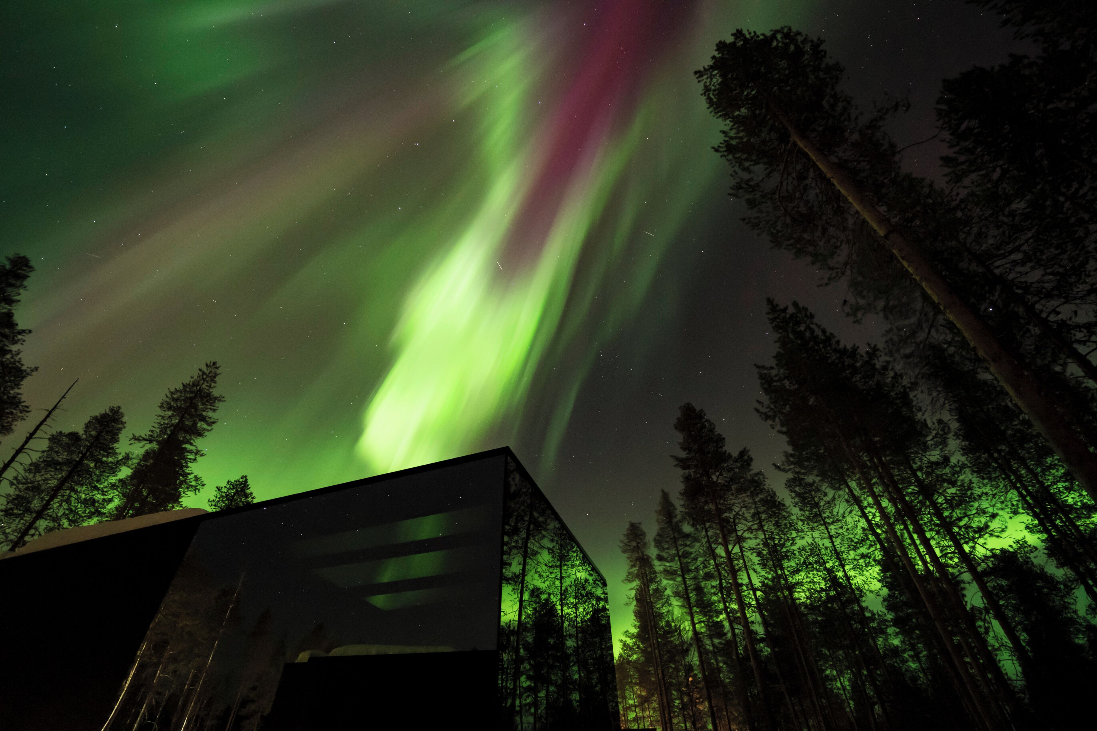 A building with a modern design, surrounded by tall trees, under a night sky with green aurora lights.