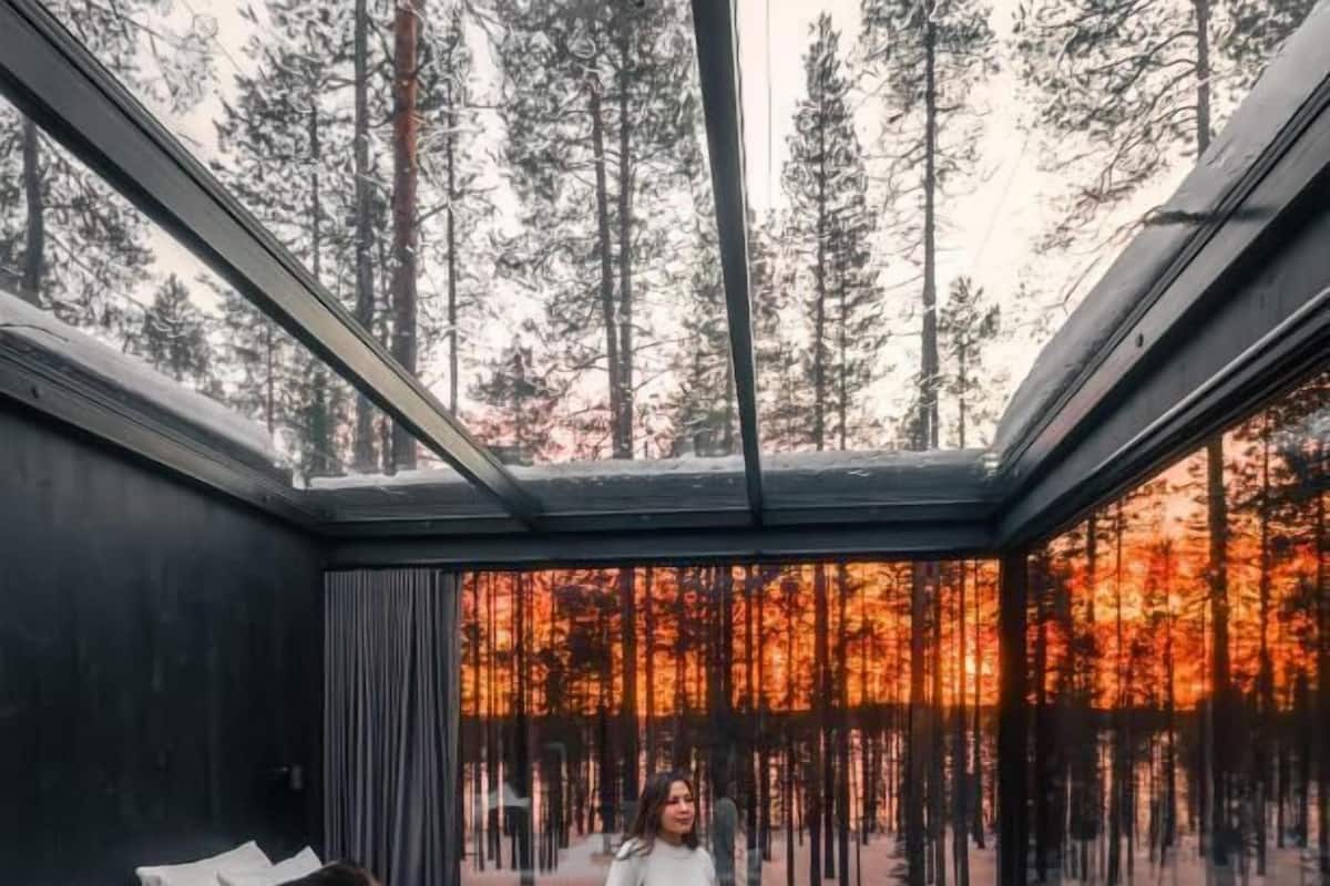 Ett modernt sovrum med en stor säng, en vägg av glas och utsikt över en skog.