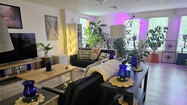 Ein Wohnzimmer mit Fernseher, Sofa, Couchtisch und mehreren Pflanzen.