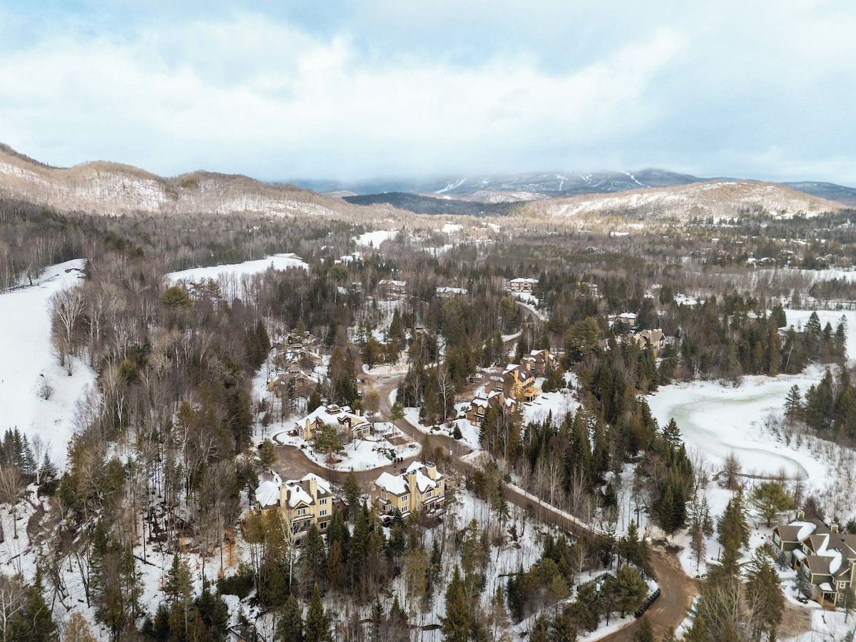 Un paysage enneigé avec une zone résidentielle comprenant des maisons et une route sinueuse.