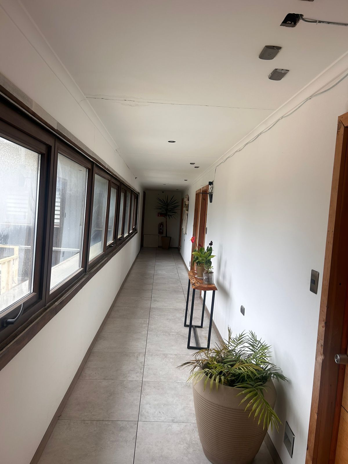 A long, narrow hallway with large windows on one side and a wooden door on the other. There are potted plants along the hallway.