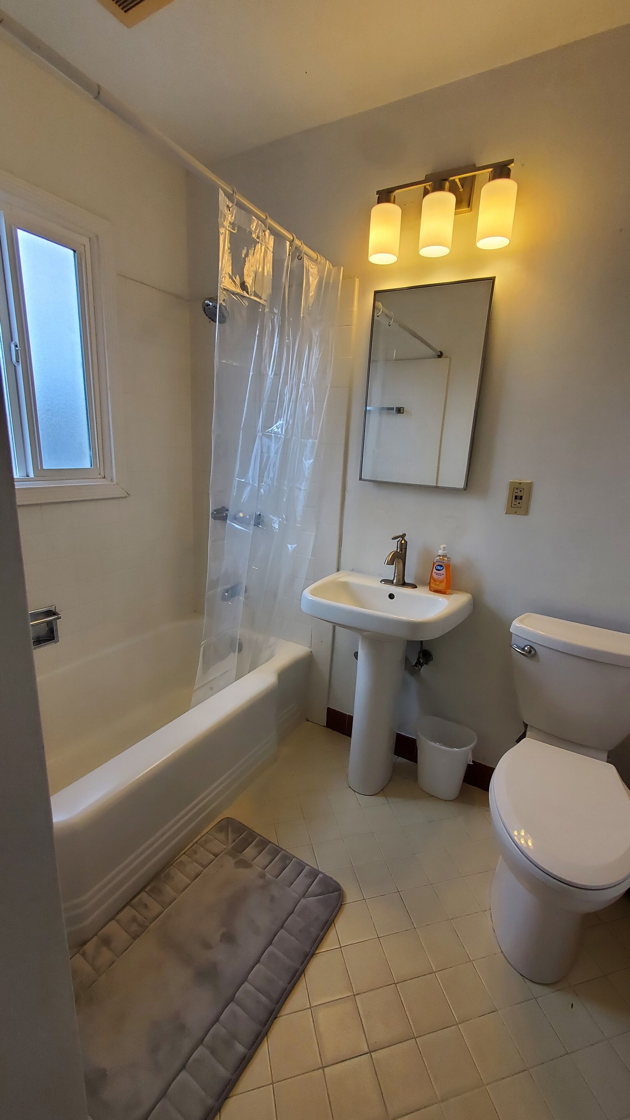 Hair dryer, towels, soap, shampoo