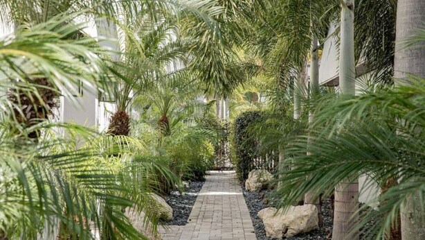 A pathway flanked by palm trees and shrubs, leading to a building with a white facade. - Bayshore Bliss | King Suite + Pool & Gym (Tampa)