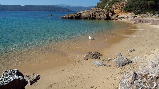 Ein Strand mit klarem Wasser, Felsen und einem Vogel.