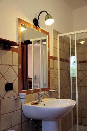 Shower, hair dryer, bidet, towels