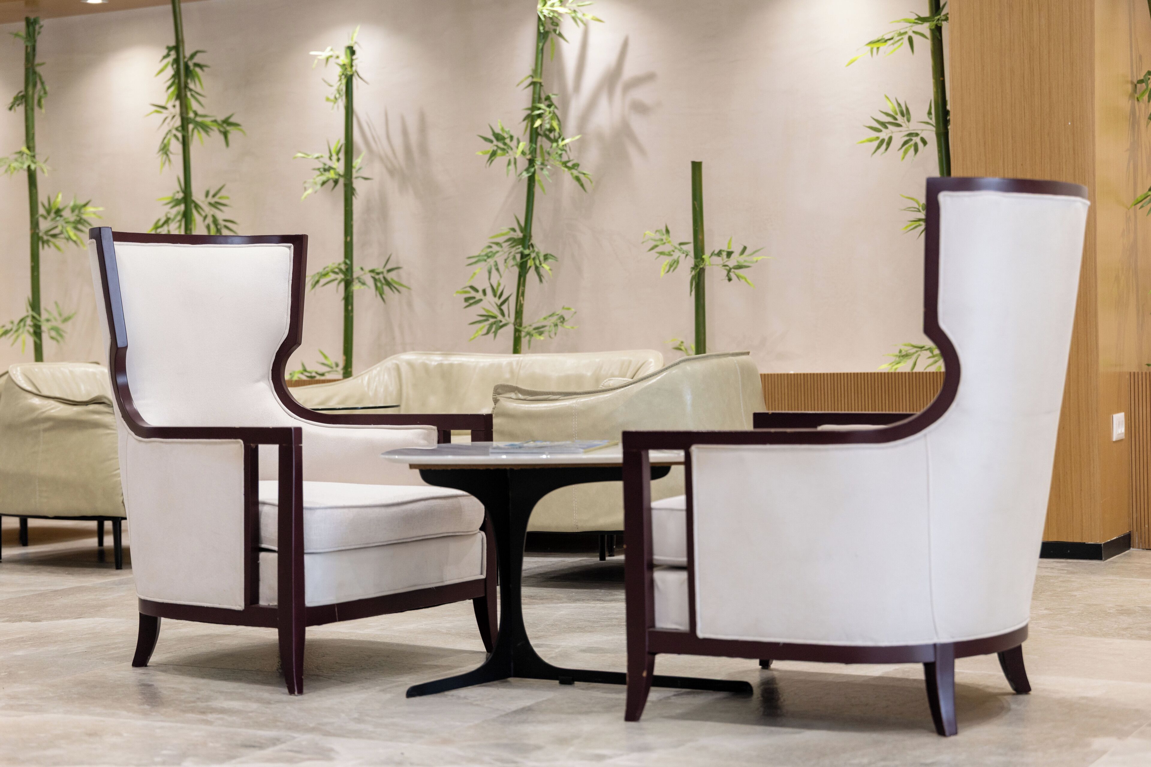 منطقة الاستقبال