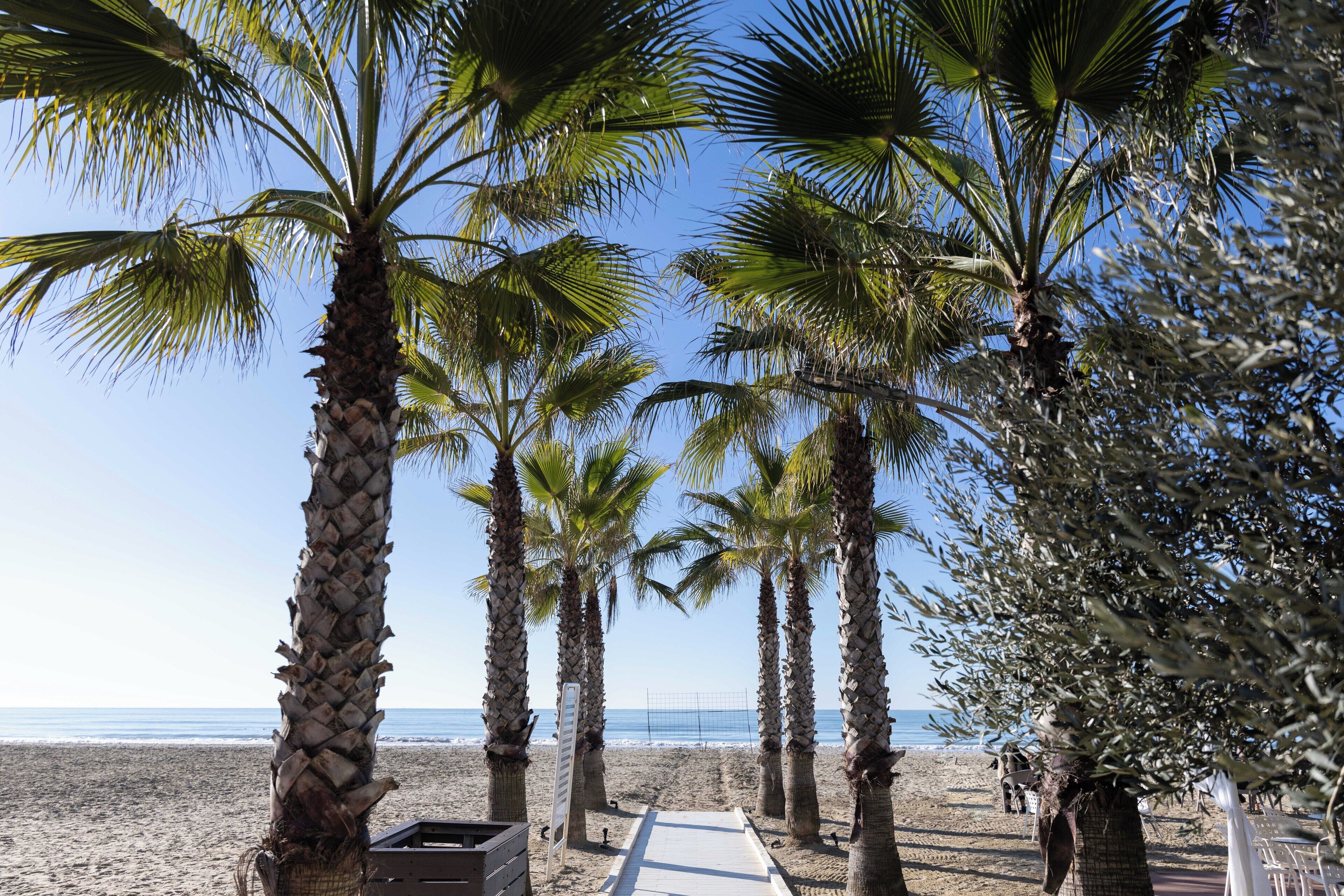 Yksityinen ranta, aurinkotuoleja, aurinkovarjoja, rantapyyhkeitä