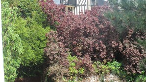 Une maison de style Tudor, avec un toit à forte pente, une clôture en bois et un jardin agrémenté de plantes en pot.