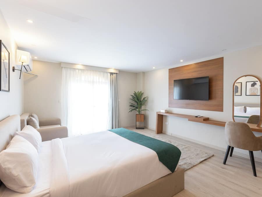 Una habitación de hotel moderna con una cama grande, un escritorio, una silla, un televisor y una planta en maceta.