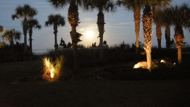 A nighttime outdoor setting with palm trees and a fire. - Beachfront Paradise! Dog friendly 3 bedroom condo! (Flagler Beach)