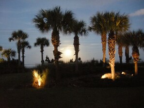 Property grounds - Beachfront Paradise! 3 Bedrooms with hot tub and dog friendly! (Flagler Beach)