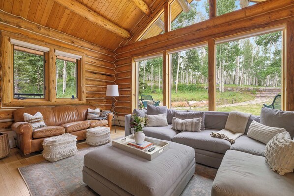 Smart TV, fireplace - Telluride Escape | Private Decks w/ Views (Telluride)