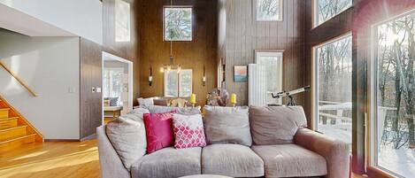 Televisión, chimenea, reproductor de DVD y libros