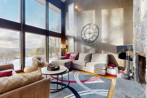 TV, fireplace, DVD player, books