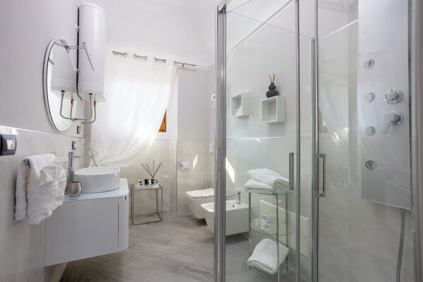 Shower, hair dryer, bidet, towels
