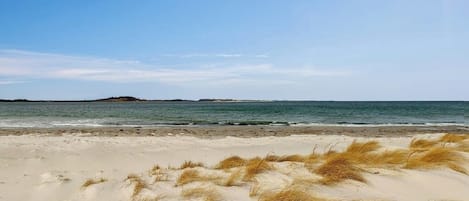 Accommodatie ligt op het strand