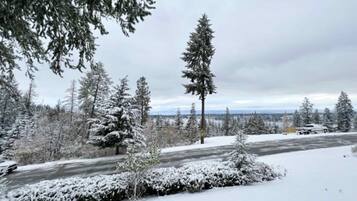 A snowy landscape with evergreen trees and a road.