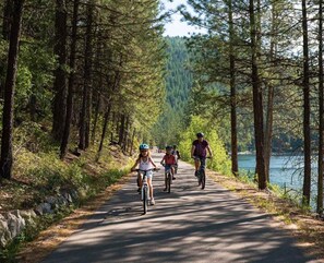 A paved path flanked by tall trees, leading to a body of water.