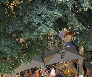 Outdoor dining - AT 47 ALLEES D'ETIGNY - CENTRAL & STANDING - private parking, bed linen included (Bagnères-de-Luchon)