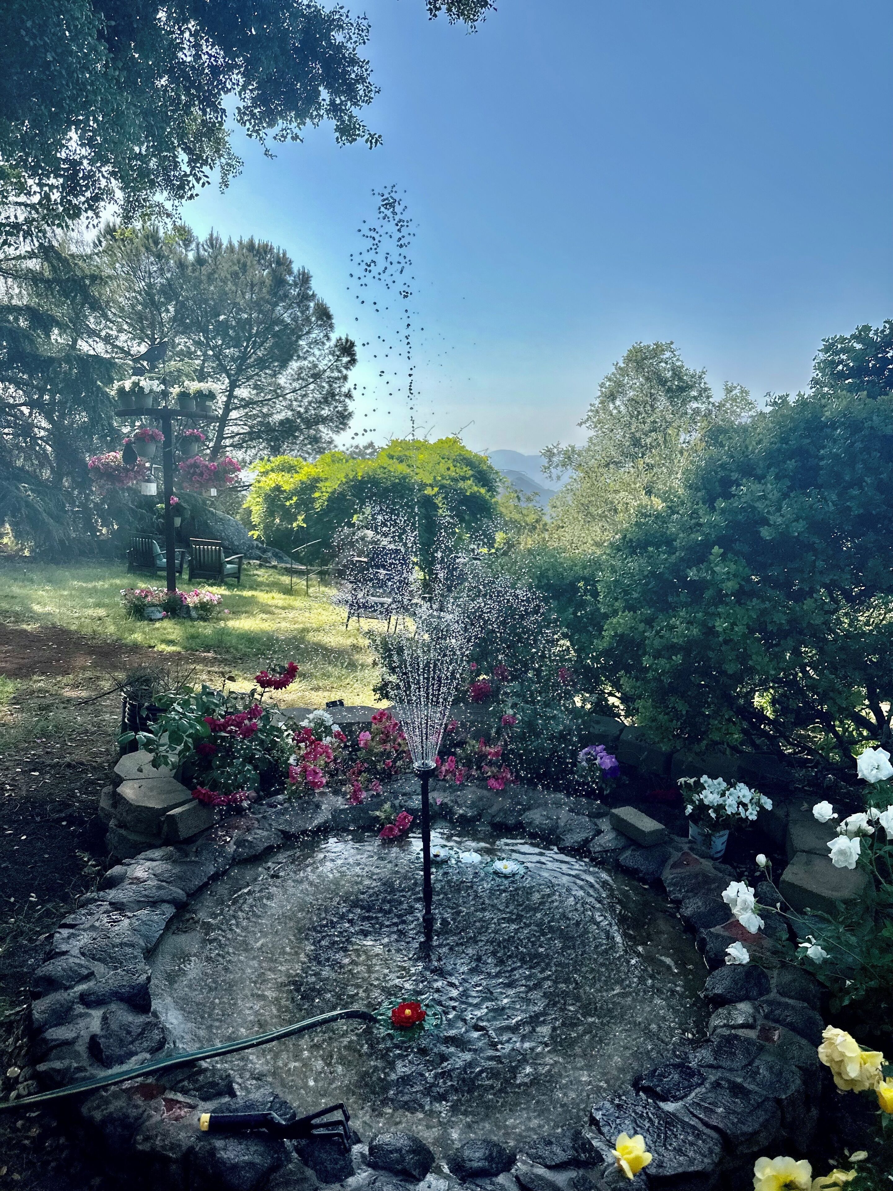 A garden with a fountain, surrounded by flowers and trees.