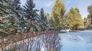 Paesaggio innevato con alberi sempreverdi e cielo sereno.