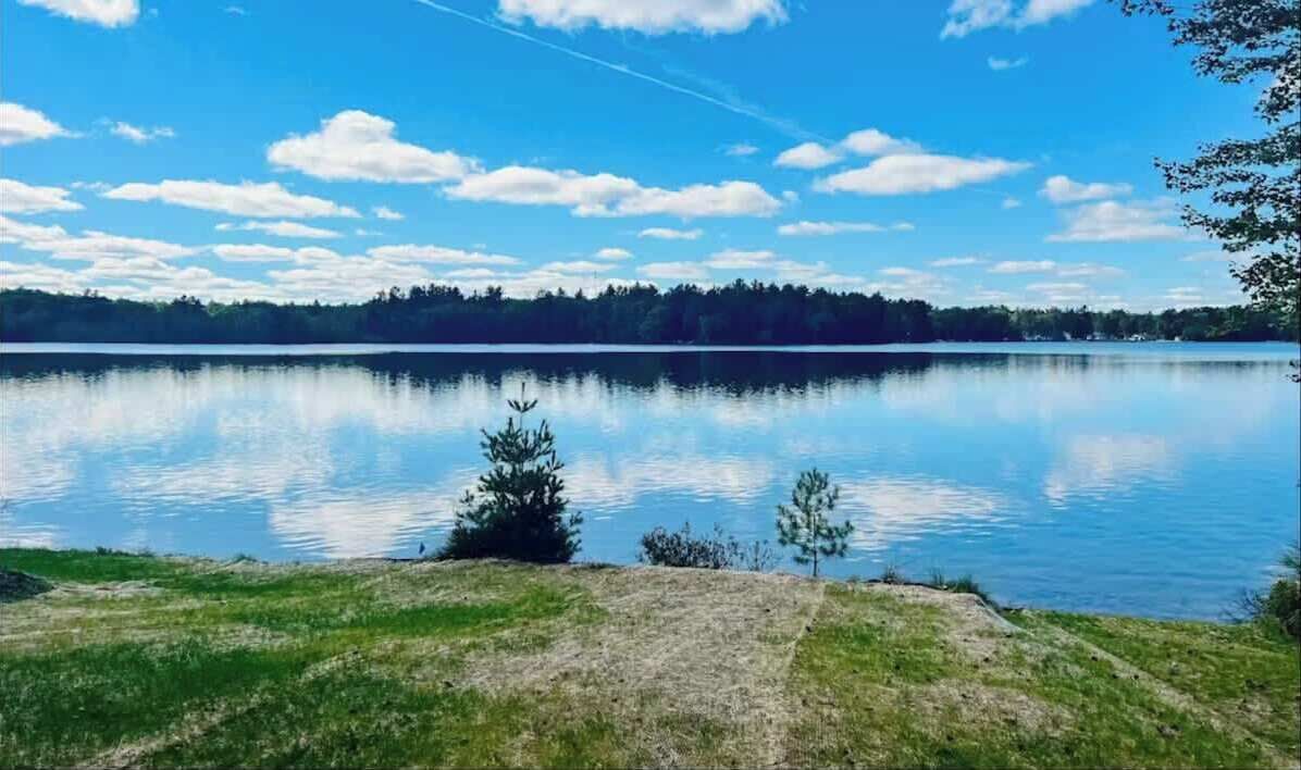 A calm lake with a clear sky, surrounded by trees and a grassy area.