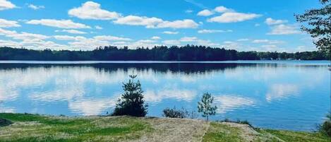 A calm lake with a clear sky, surrounded by trees and a grassy area.
