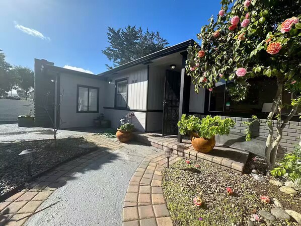 A modern two-story house with a paved driveway, potted plants, and a small garden area.