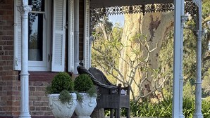 A traditional house with a covered porch, brick walls, and decorative columns. - Kalimna Homestead, Historic Stays, Hunter Valley (Paterson)