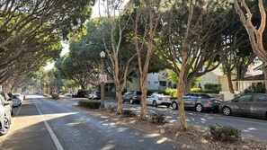 Property grounds - #11 Modern 2-BR sanctuary walk to shops & beach (Santa Monica)