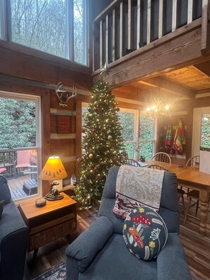 Smart-TV, Kamin, DVD-Player, Bücher