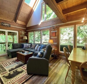 Smart TV, fireplace, DVD player, books