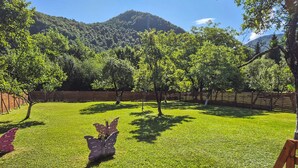 Un espace extérieur verdoyant, avec des arbres et une clôture en bois.