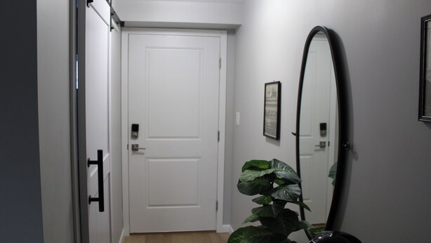 A hallway with a white door, a large mirror, and a potted plant. - Luxe Haven Room, with a Private Bathroom with a Separate Entrance from the House (Waynesboro)